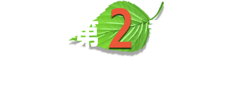 第2話 森の音を聞くとき